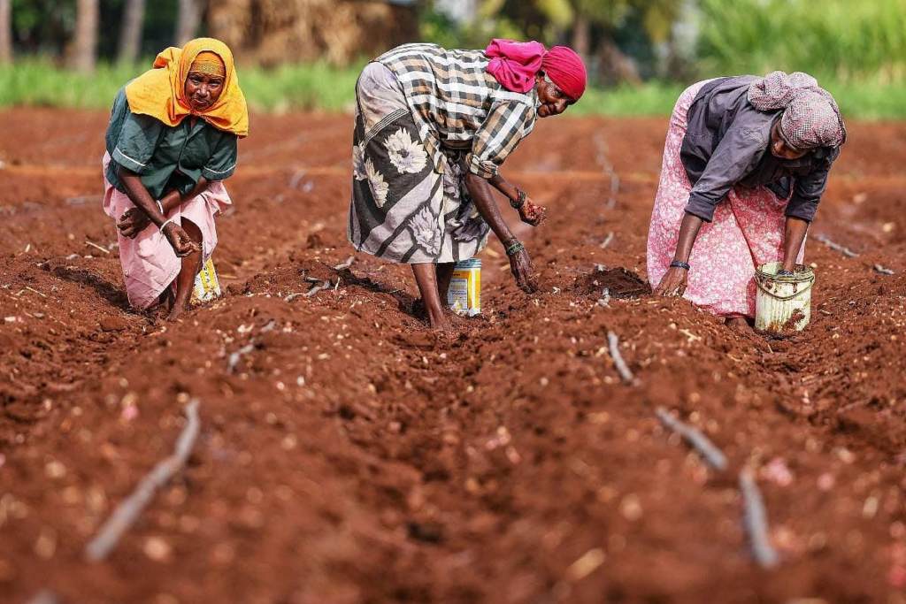 Podu Farmers Raise Concerns Over Land Rights