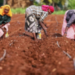 Podu Farmers Raise Concerns Over Land Rights