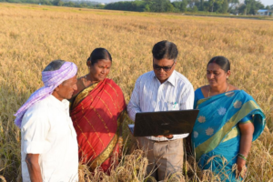 Focus on Sustainable Farming Practices in Asifabad