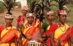 Tribal Development and Forest Conservation Remain Key Issues