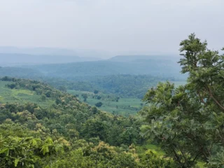 unnamed-2026-06-16T214709.366